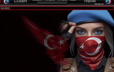 BAYRAK 2
