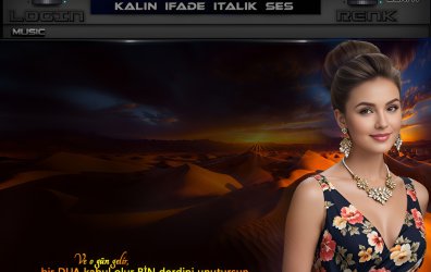 ve ogün gelir